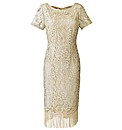 Joanna Hope Petite Fringe Lace Dress