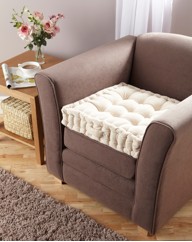 Booster Cushion
