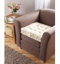 Booster Cushion