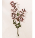 Honeysuckle Wall Art