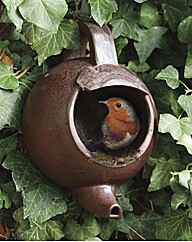 Robin Teapot Nester