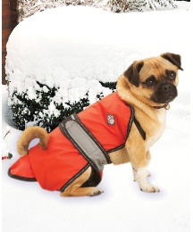 All Weather 2 in 1 Dog Coat
