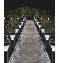 Solar Starburst Lights 10 plus 10 FREE
