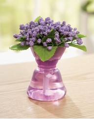 Fragrance Bouquet