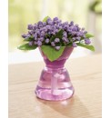 Fragrance Bouquet