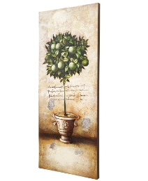 Fruit Tree Canvases Green Apple