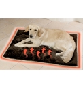 Thermal Pet Bed