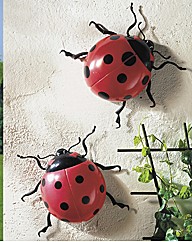 Jumbo Ladybirds Pack of 2