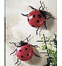 Jumbo Ladybirds Pack of 2