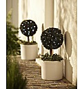 Solar Bay Tree - Buy 1 Get 1 Free