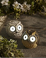 Owl Spotlight Set of Two
