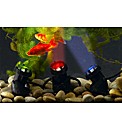 Aquatic Spotlight Set