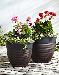 Corsica Planter - Buy 1 Get 1 Free