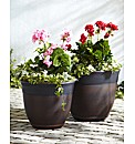 Corsica Planter - Buy 1 Get 1 Free