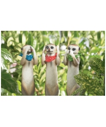 Three Meerkats on Stakes