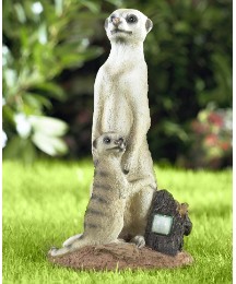 Mum & Baby Meerkat Pest Control