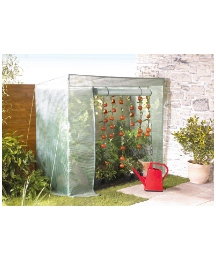 Tomato Greenhouse