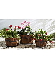 Pack Of 3 Wood Planters