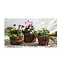 Pack Of 3 Wood Planters