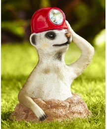 Solar Powered Meerkat The Miner
