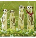 Solar Meerkat Family