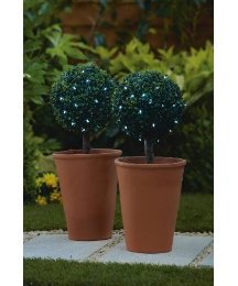 Solar Bay Tree