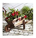 Wood Wheelbarrow Planter