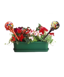 Aqua Vase - Pack of 2