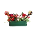 Aqua Vase - Pack of 2