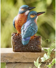 Solar Kingfishers on Tree Trunk