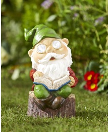 Solar Reading Gnome