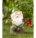 Solar Reading Gnome