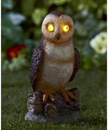 Solar Barn Owl