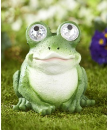 Bright Eyes Solar Frog
