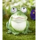 Bright Eyes Solar Frog