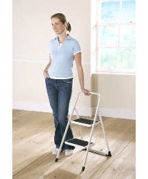 2 Step Safety Ladder