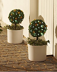 Solar Tree Sunflowers - Buy 1 Get 1 Free