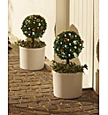 Solar Tree Sunflowers - Buy 1 Get 1 Free