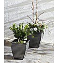 Set of Two Zinc Planters
