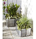 Set of Two Zinc Planter Troughs