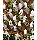 Set of 16 Moroccan Solar Light String