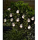 Set of 16 Owl Light String