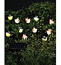 Set of 16 Robin and Blue Tit Bird Lights