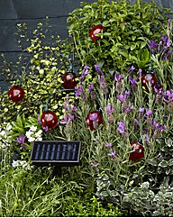 Set of 16 Ladybird String Lights