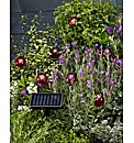 Set of 16 Ladybird String Lights