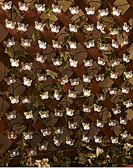80 Butterfly Solar Lights