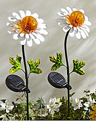 Set of Two Daisy Stakelights