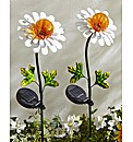 Set of Two Daisy Stakelights