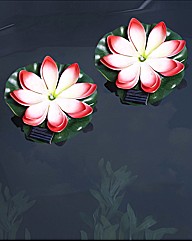 Solar Floating Lily - Buy 1 Get 1 Free