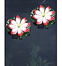 Solar Floating Lily - Buy 1 Get 1 Free